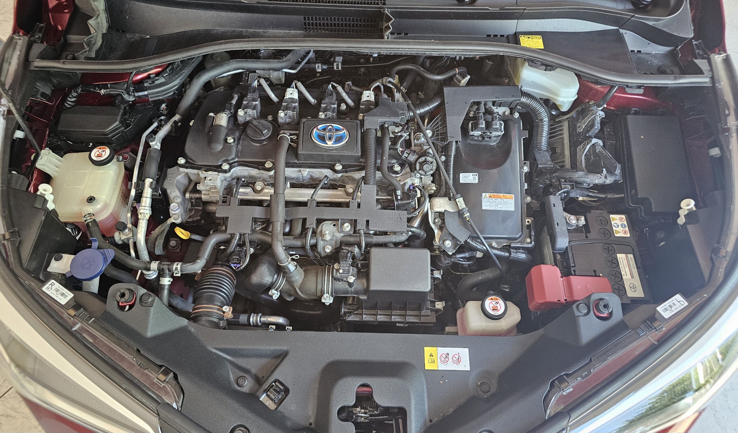 
								Toyota C-HR T.O.P. full									