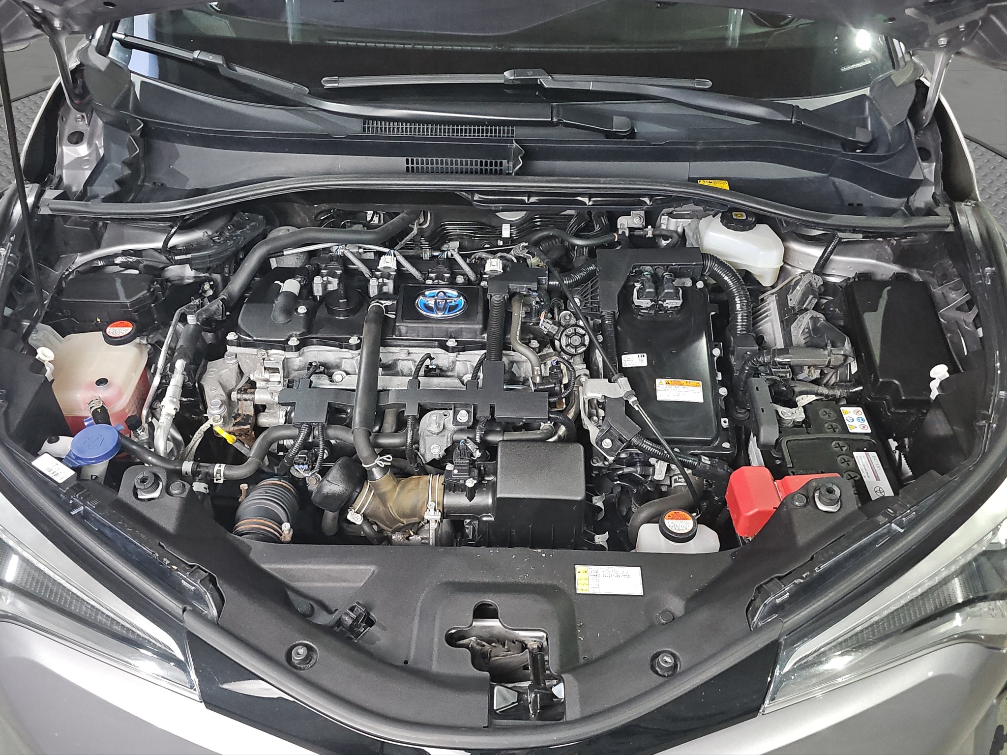 
								Toyota C-HR FU.LL full									
